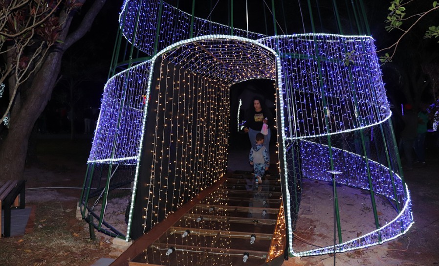 Naviraí Notícias - MUNDO NOVO: Empresa inaugura luzes de Natal no Rancho  Caroline